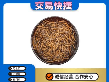 无锡滨湖区高价回收散虫草